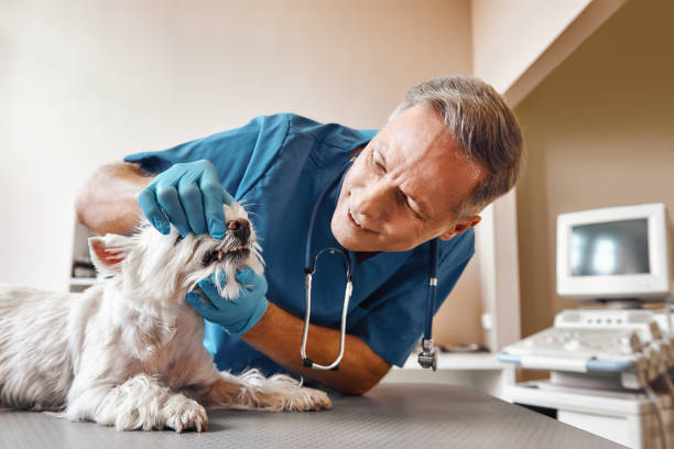 Best Weekend Emergency Dentist in Cleona, PA